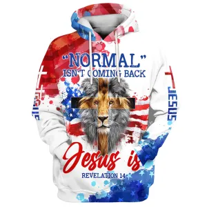 Lion Cross Normal Isn't Coming Back Jesus Is Hoodies Jesus Hoodie Men & Women Christian Hoodie 3D Printed Hoodie