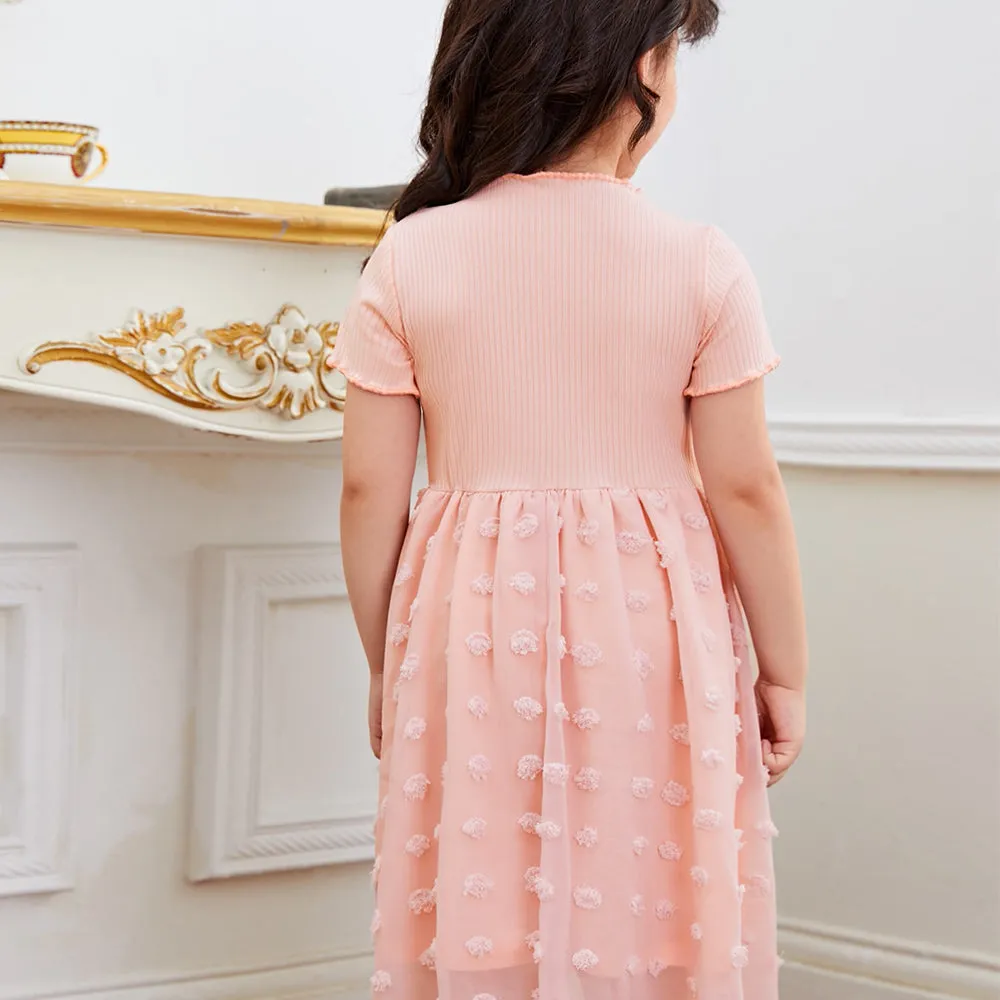 Mom & Me Short Sleeve Appliques Mesh Dress
