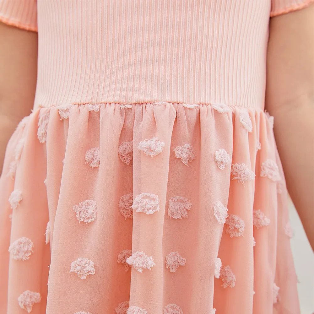 Mom & Me Short Sleeve Appliques Mesh Dress